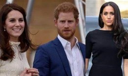 哈利最新爆料,娱乐圈背后的惊人真相